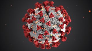 new-coronavirus-strain