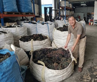 Dried Gracilaria seaweed 15% moisture and 3% impurity for agar-agar, Agriculture and Cosmetics