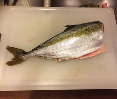 Hamachi!!