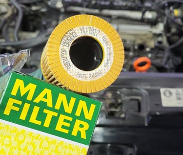 MANN Filter маслен филтер ulje заедно со Motul моторно масло премиум мал сервис 