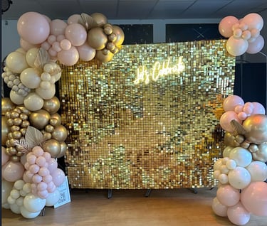 Sequin Wall for birthdays