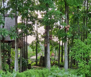 Sala (Sal) garden facing the rooms promotes relaxation and potentially improves sleep quality.