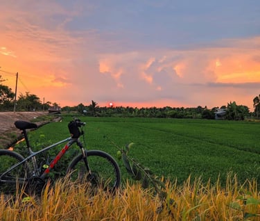 Bicycle path through morning glory fields at sunset near Saigon Garden Homestay.