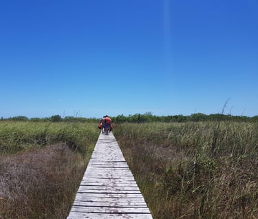 Camino magico a la laguna