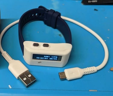 electronicbracelet