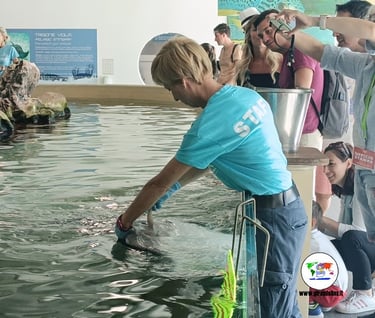 piscina interna parco navi cattolica, vacanze a Cattolica