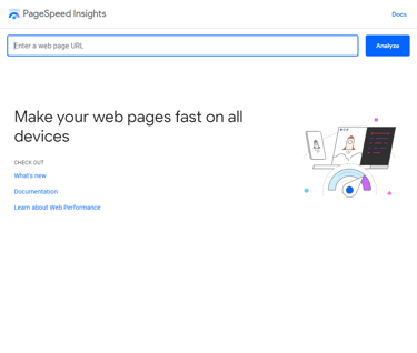 Schermata iniziale di PageSpeed Insights