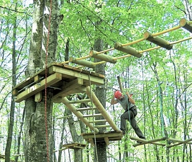 percorso Carpegna Park, parco avventura carpegna, divertimento per i bambini