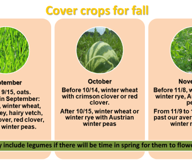 Cover Crops Slide from Pam Dawling