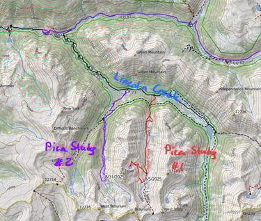 Pica Study tracks