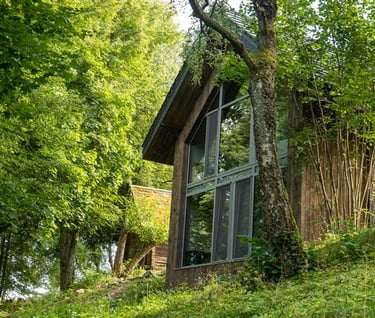 modernus sodybos namas su šalia augančiais medžiais