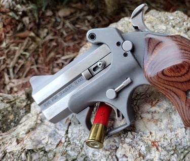 bond arms rowdy with custom grips