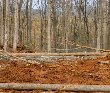 TREE-MENDOUS Tree Service