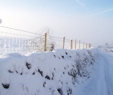 Snow on the fence by Andrew Duddle