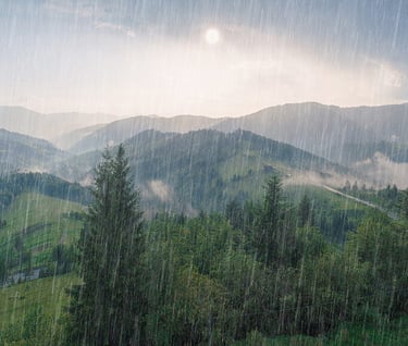 terapia homa argentina medioambiente