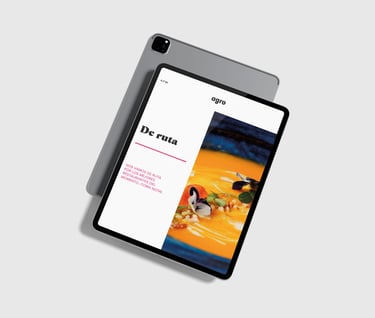 diseño epub