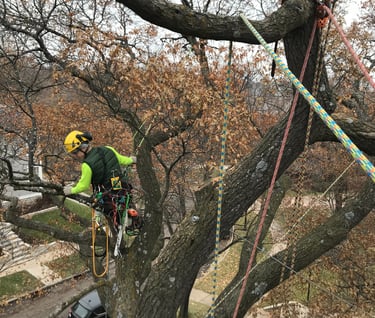 John managing ropes during technical climb