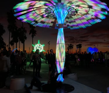 2019 Liquid Forest: The Source