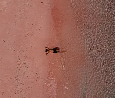 a dog is laying on the beach near the water