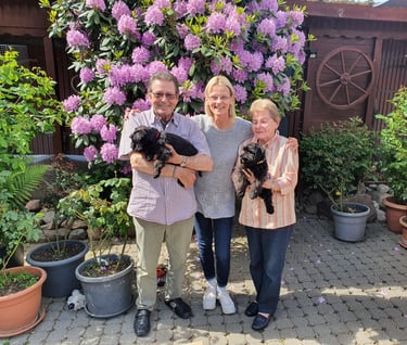Eleveur avec des chiots Schnauzer dans un jardin