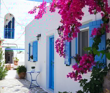 Nei siti, l'estetica conta