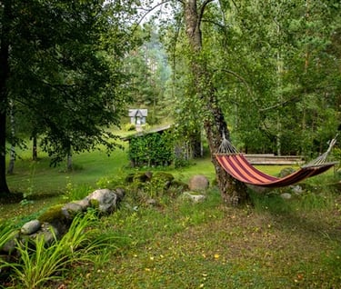 hamakas medyje su vaizdu į žalią sodybos aplinką