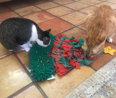 cats with a snuffle mat