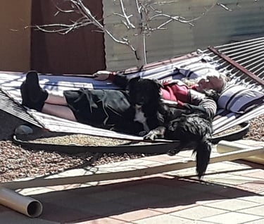 Women and Dog on a hammock supported by a Hammock Stand