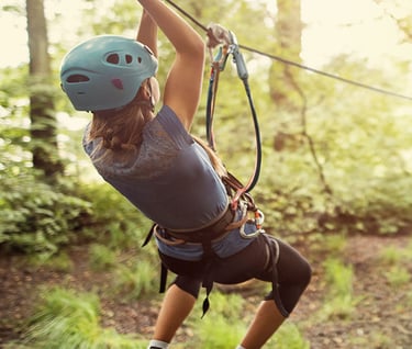 Carpegna Park, carrucola, natura, Boschi entroterra marchigiano