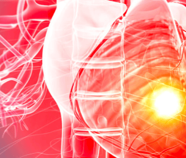  Guide pour prévenir les maladies cardiaques, Dr Cédric Yves Bandelier  LA Tour.-de-Peilz Vevey