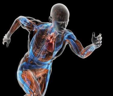 Blog sport et médecine , Dr Cédric Yves Bandelier, médecin généraliste la Tour-de-Peilz -Vevey