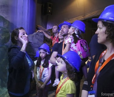 conoscere i pesci, intrattenimento per famiglie e bambini