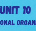 unit 10 2nd year bac international organizations, english course, 2st year bac,
