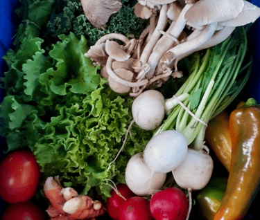 Sycamore Bend Farm sample CSA box