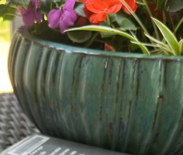 Daring Greatly Brene Brown