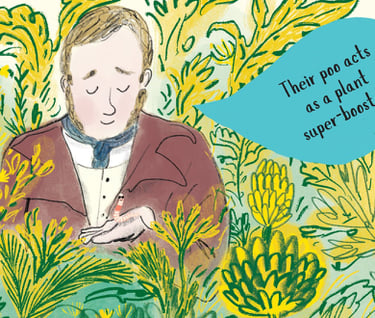 Illustration from Darwin's Super-Pooping Worm Spectacular: Darwin hold a worm. Plant super-booster.