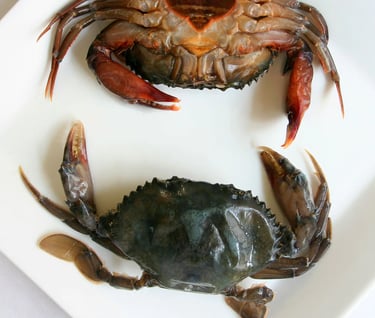 soft-shell crabs
