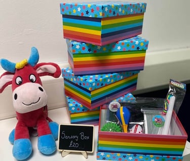 A picture of sensory boxes in the Moo room, with the price stating £20.
