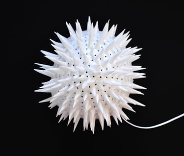 sea urchin paper sculpture