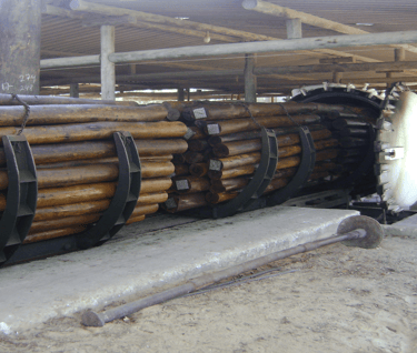 Tratamento de peças de eucalipto tratado - 2 - Imader