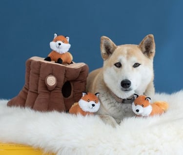 a dog is sitting on a furry rug with a stuffed animal