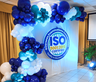 Balloon garland backdrop