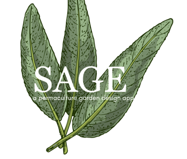A logo for our garden planning app, Sage; hand drawn sage. 