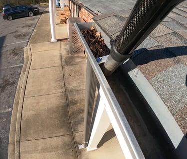 Commercial gutter cleaning vacuum
