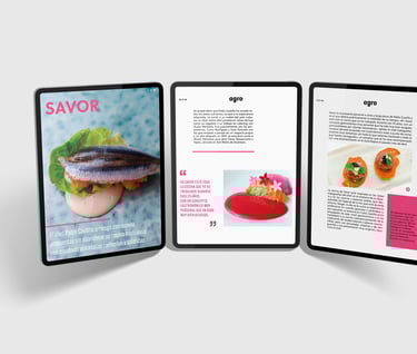 diseño epub