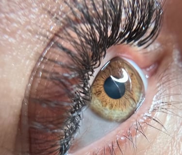 Lashes in Elig Beauty Salon.