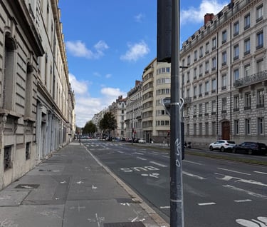 Rue Duquesne, Lyon. Si continuas por esta via, llegas al puente de Lattre de Tassigny, quien te lleva hasta el rio Saune