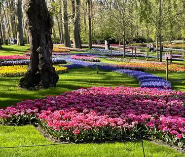 Keukenhof garden in Holland