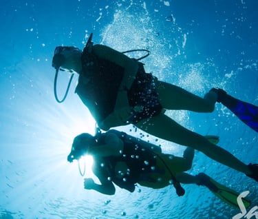 Two scuba divers swim toward the sunlit ocean surface with rising air bubbles and blue water.