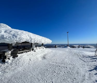 Winter landscape from Lapland